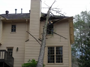 tree damage home repair insurance restoration